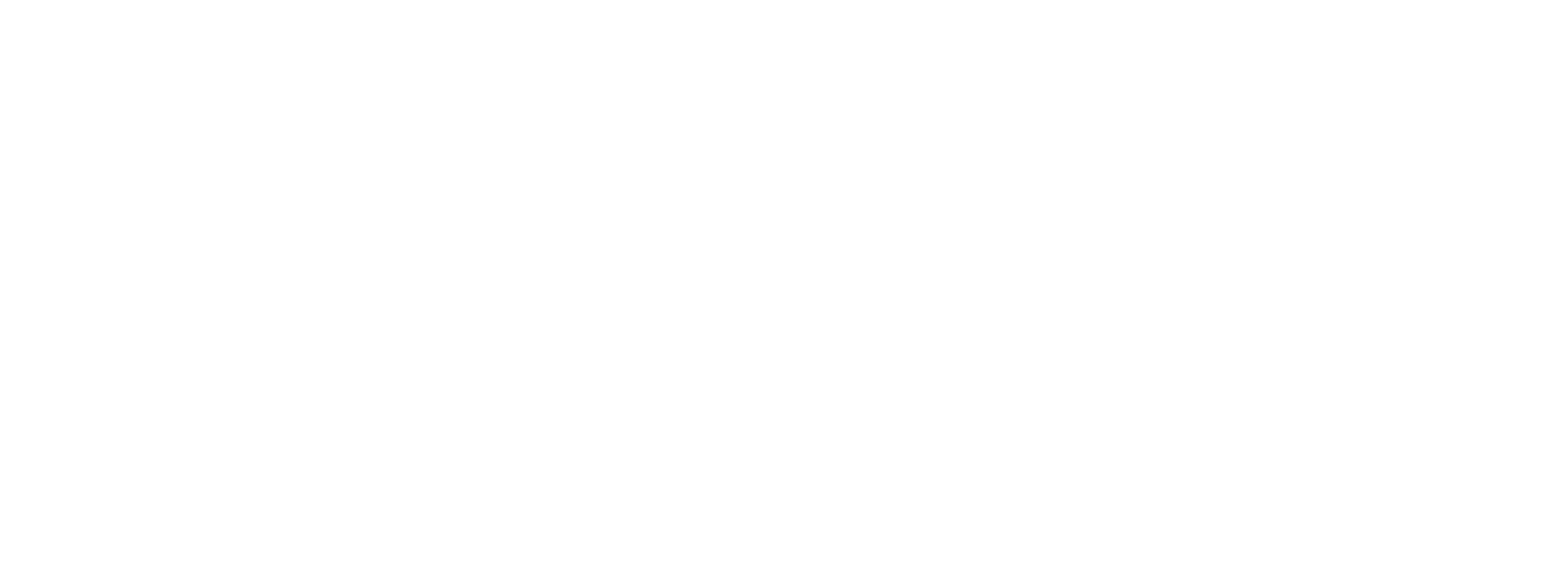 PPI Verified LLC